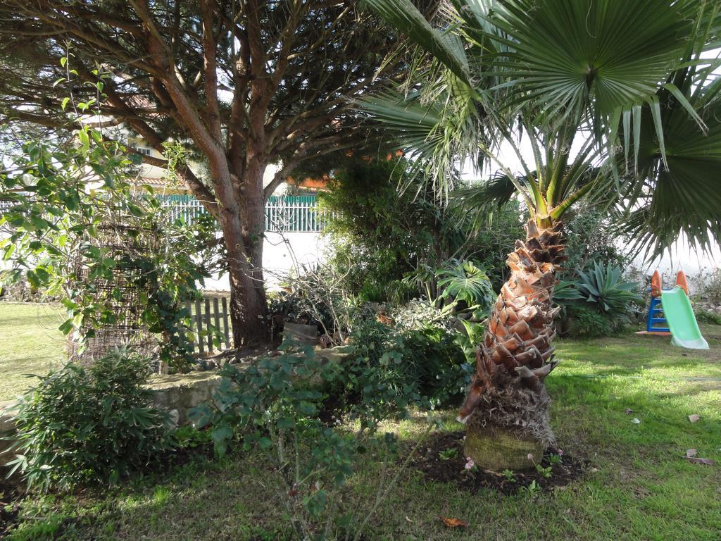 Apartamentos Em Moradia Com Jardim Cascais Bagian luar foto