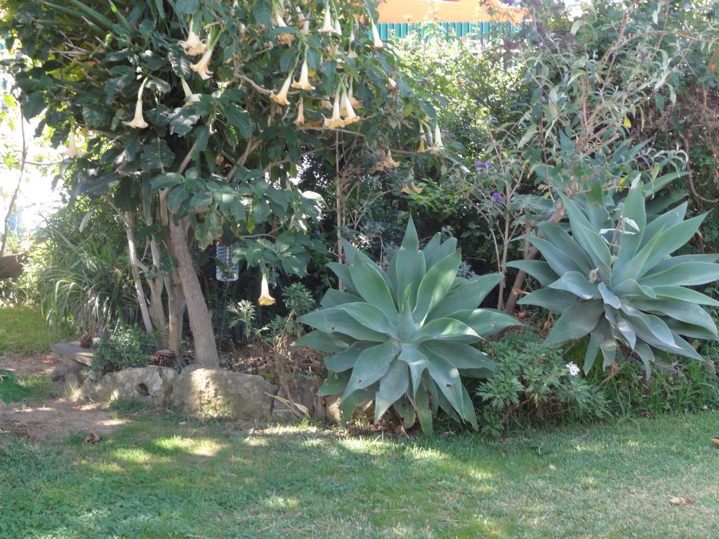 Apartamentos Em Moradia Com Jardim Cascais Bagian luar foto