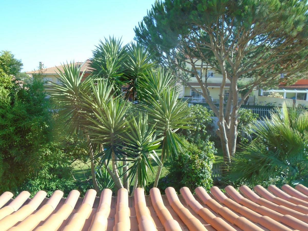 Apartamentos Em Moradia Com Jardim Cascais Bagian luar foto